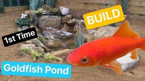 Goldfish Pond Build - (FIRST TIME - Step by Step)