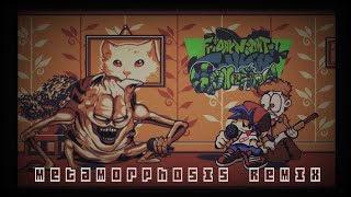 Metamorphosis Remixremasteredencore Old Gorefield Junkedmix Friday Night Funkin