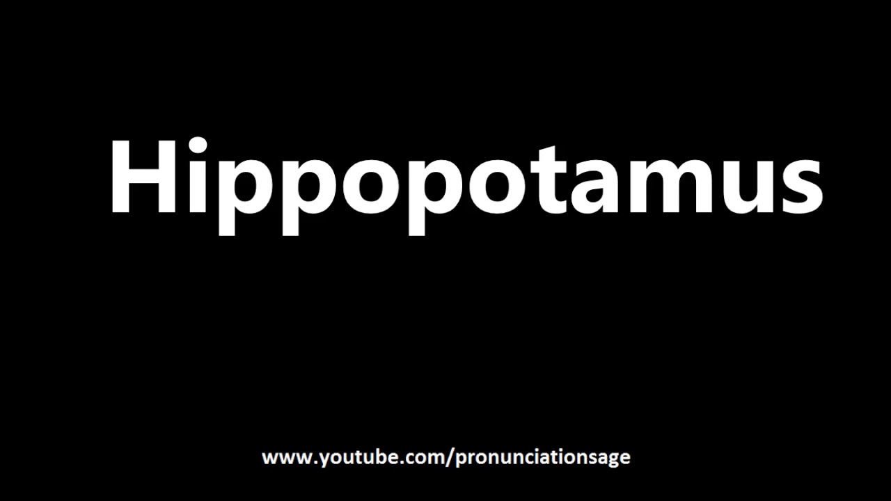 How To Pronounce Hippopotamus YouTube