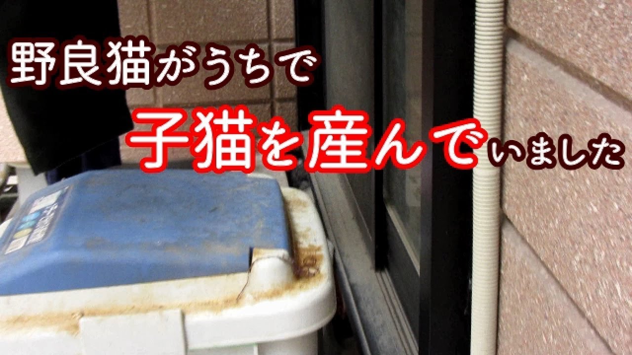 赤ちゃん 撮影 テクニック