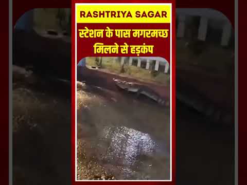 Short video