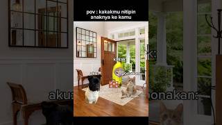 Siapa Yg Pernah Ngalamin meme memekucing kucing kucinglucu fyp viral