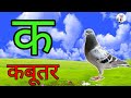 क से कबूतर, अ से अनार a se anaar k se Kabutar l Hindi Varnamala l ABCD क से कबूतर अ से अनार। for kid