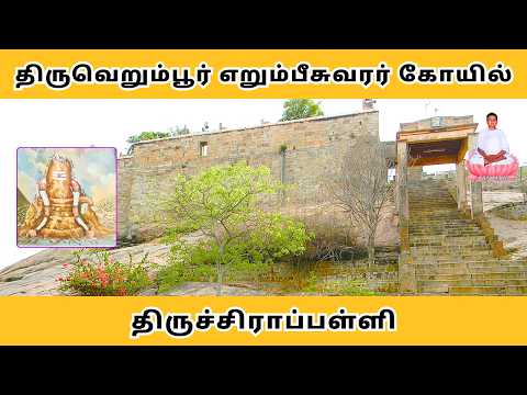 அருள்மிகு நறுங்குழல் நாயகி உடனாகிய எறும்பீஸ்வரர் திருக்கோயில் | திருச்சி