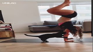 Adorable Kitten Interrupts Yoga Session || UNILAD by UNILAD 135 views 4 years ago 1 minute, 11 seconds