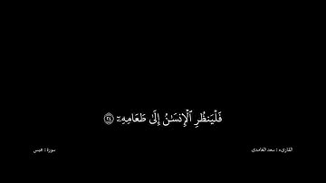 سعد الغامدي القران كریم خلفیه‌ سوداء (سورة عبس)