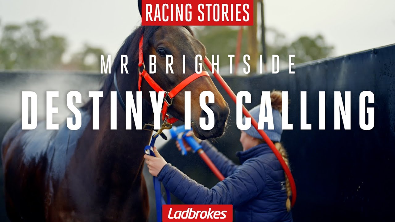 Mr Brightside Is Putting The New-Look Lindsay Park Operation On The Map