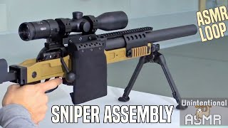 Unintentional ASMR Loop | B&T Swiss Silenced Sniper Rifle Assembly (Oddly Satisfying)