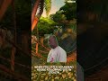 Leveling In Wow Classic Vanilla Leveling In Wow Classic Vanilla