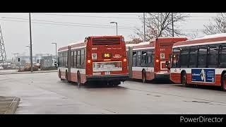 RANDOM TTC BUS COMPILATION #1