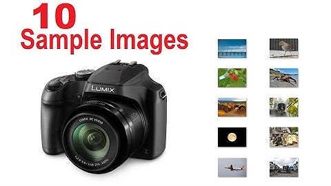 Lumix FZ80/FZ82 Sample Images [Photo Gallery] Bridge Camera for Outdoors with Long-Zoom Capabilities