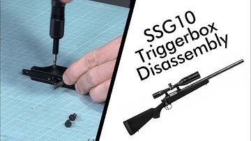 SSG10 Triggerbox Disassembly