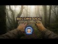 Walk Transformation Hypnosis 🐕 Become a German Shepherd (Request)