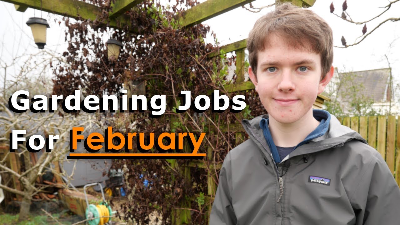 Gardening Jobs for February | The Start of the Growing Season