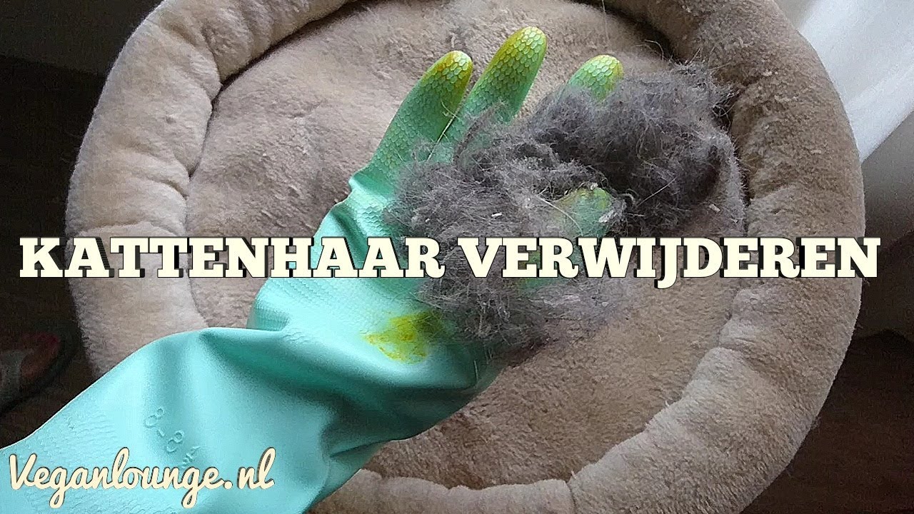KATTENHAAR GEMAKKELIJK VERWIJDEREN! 🐾 - YouTube