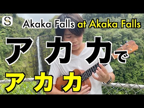 Miraculous place! Akaka Falls by Jake Shimabukuro- アカカフォールズでアカカフォールズを弾いたら奇跡が起こった！