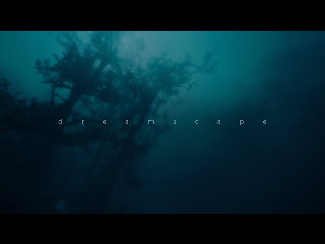 this voice in my head - you don't exist (slowed)