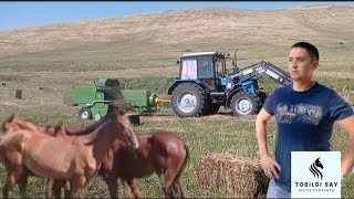 картинка: Тауда 30000пресс шөп жинау/ ауыл мал шаруашылығы/ Түлкібас ауданыны