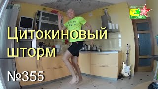 Цитокиновый шторм (№355)