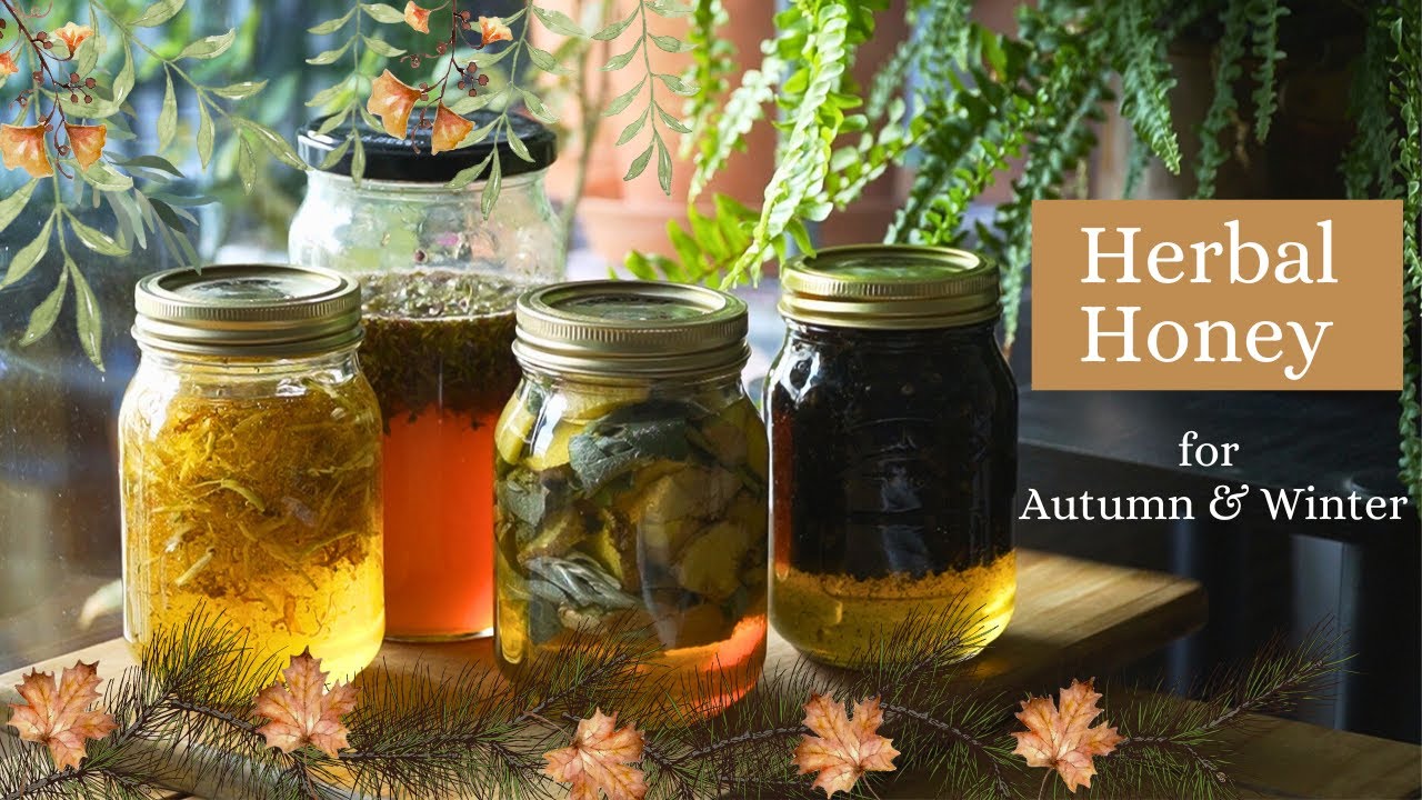 Herbal Honey for Autumn & Winter| How to Make Immune Boosting Herb Infused Honey