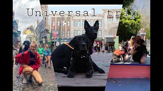 Service Dogs go to Universal