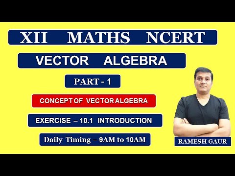 vector assignment class 12