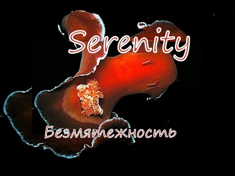 Безмятежность/Serenity