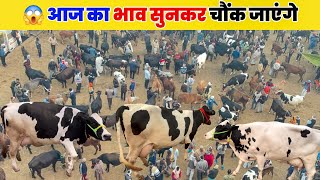 😱 आज का भाव सुनकर चौंक जाएंगे |chhapiya pashu mandi Gorakhpur gay bajar 2026