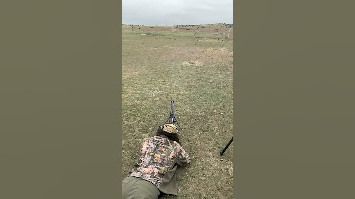 Prairie dog VS. 50 BMG