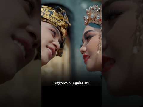 Video Penawar