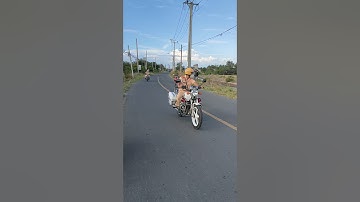 chủ gửi bán lô đất mặt tiền đường Lý Nhơn, cần giờ. 17.000m2(120x130) giá : 2,5 triệu/m