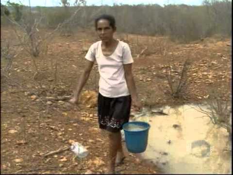 Com falta de chuvas, vítimas da seca utilizam água suja até para consumo -  YouTube