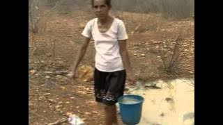 Com falta de chuvas, vítimas da seca utilizam água suja até para consumo