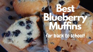 Best Blueberry Muffins ~ Easy Recipe for Back to School