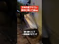 ヌキの足アケコン、流石に笑い〇ぬｗｗ【ウメハラ】【梅原大吾 切り抜き】#Shorts