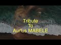 Capture de la vidéo Djunny Claude Ft. Djeli Moussa Diawara - Tribute To Aurlus Mabele