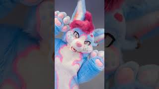 Cromwhich. A husky fennec custom fursuit. Cromwhich. A husky fennec custom fursuit.