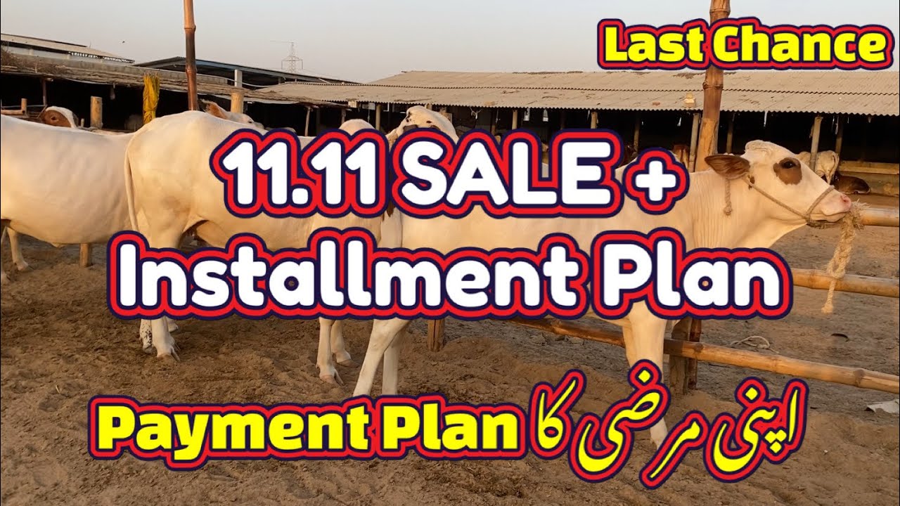 Last Chance to avail 11.11 SALE + Installment Plan wo bhi apni marzi ka payment plan