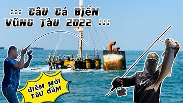 Câu cá biển Vũng Tàu 2022 | điểm mới tàu đắm