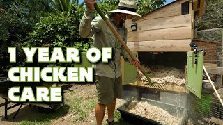 I've had Backyard Chickens For 1 Year | What's It Like