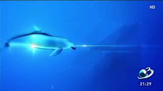 Antena 3 Ident 2016-2018