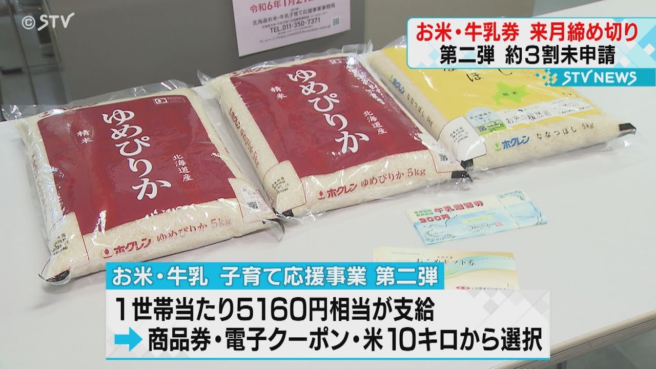 Hokkaido: Approximately 30% of child-rearing households have not
