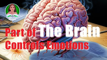 What Part of the Brain Controls Emotions? #LimbicSystem #brainemotions