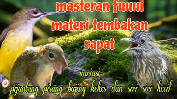 Fuuul tembakan rapat pijantung pisang gereja tarung dan siri siri kecil