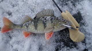 Техника ловли на блесну зимой  от Федерации рыболовного спорта.