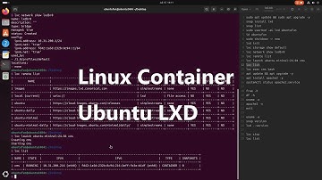 Linux Container Ubuntu LXD [Tutorial]