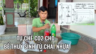 Tự chế CO2 cho bể thuỷ sinh từ chai nhựa rất đơn giản