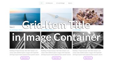Filterable Grid for Divi: Grid Item Title in Image Container