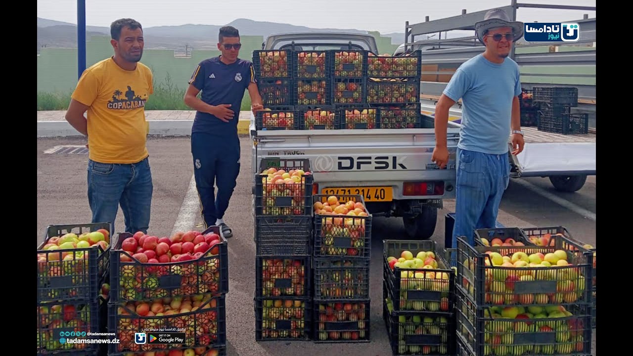 افتتاح سوق التفاح في بوحمامة ولاية خنشلة 