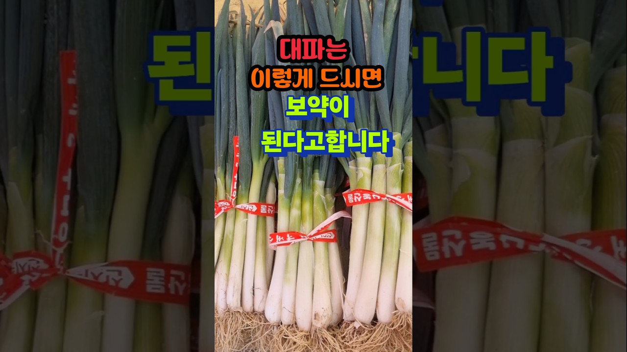 대파는 이렇게 드시면 보약이된다고합니다 